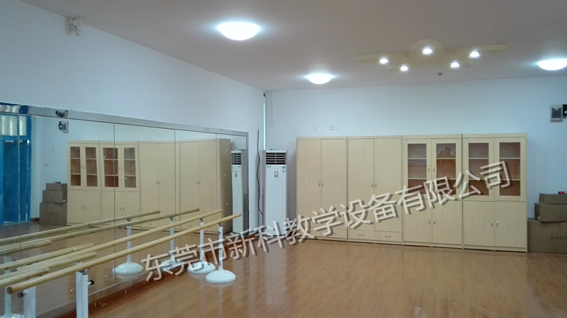 <a href='http://m.tjxblsf.com/chanpin/59-1.html' target='1' style='font-size:18px; font-weight:bold; color:#000000;'>舞蹈室</a>