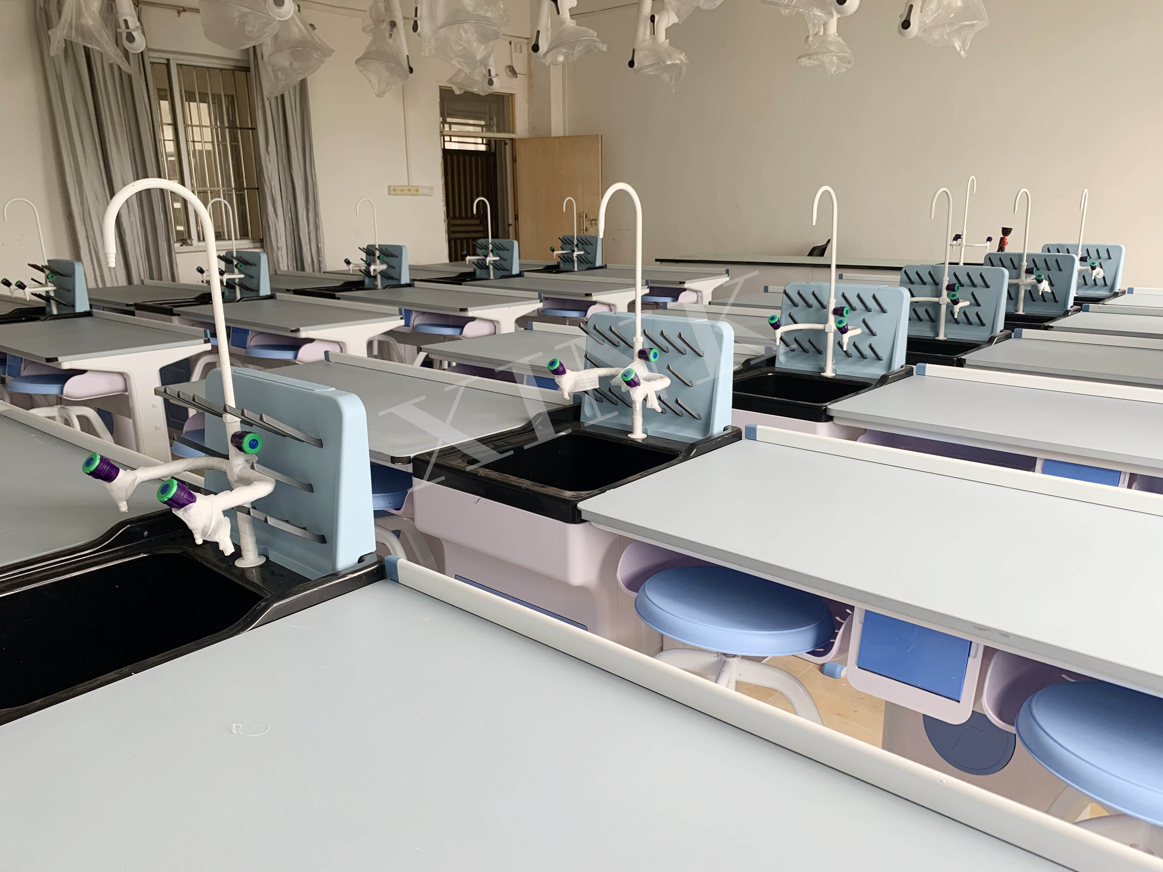 生物實(shí)驗(yàn)室